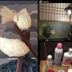 焱匠旬物料理(恒力创富中心店) User Photo