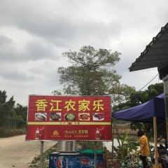 香江农家乐 User Photo