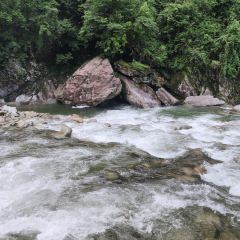 食里香酸汤鱼 User Photo