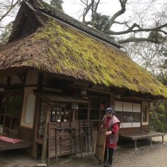 Mizuya Chaya User Photo