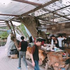 巨樹咖啡館張用戶圖片