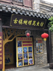 Butterfly and Insect Museum, Xinyi Ancient Town