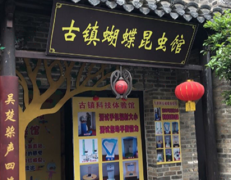 Butterfly and Insect Museum, Xinyi Ancient Town