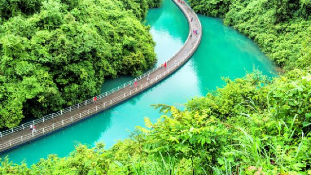 獅子關旅遊區+宣恩伍家台一日遊【贈送宣恩夜景 網紅水上浮橋】