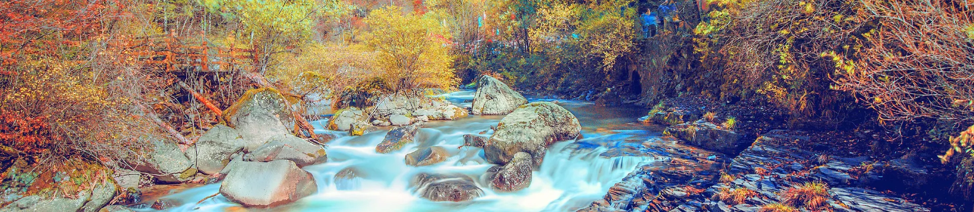 Fall Viewing Attractions
