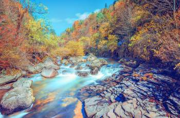 Popular Fall Viewing Attractions in Antu