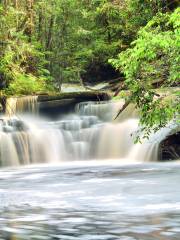 Table Waterfall