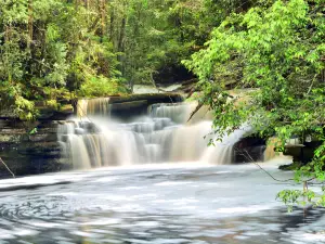 Table Waterfall