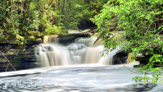 Tawau Hill Park (Table Waterfall)