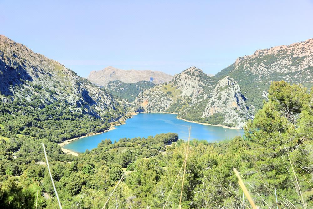 Compare 4 airports near Calvia