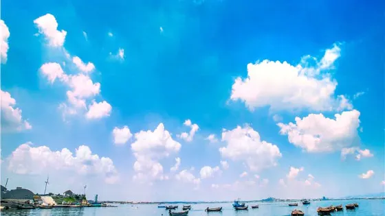 桑溝灣海洋牧場