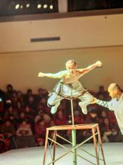 Shaolin Martial Arts Performance