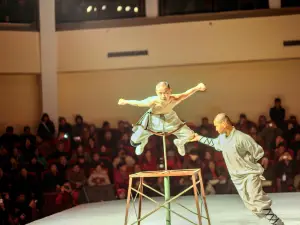 Shaolin Martial Arts Performance