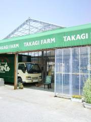 Takagi Farm