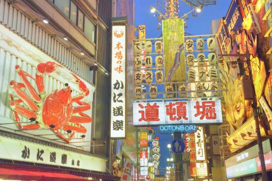 京都+大阪+道頓堀+伏見稻荷大社+金閣寺+清水寺一日遊