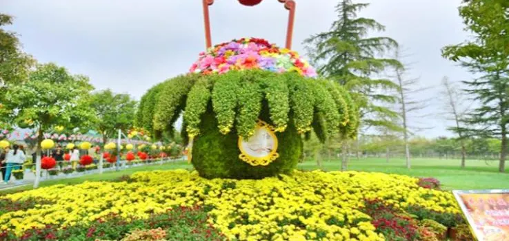 เมืองชา