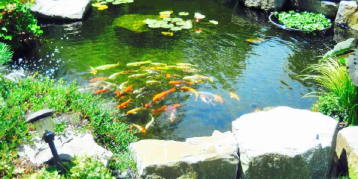 D. Woodbridge Ponds and Secret Garden