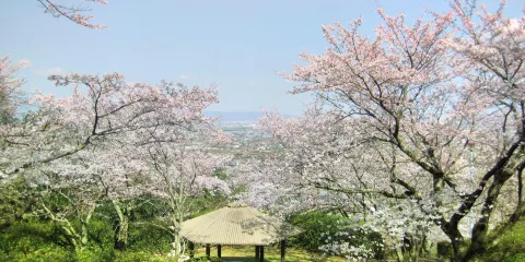 発心公園