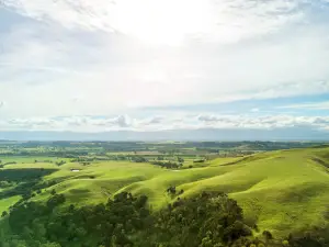 Martinborough Brewery
