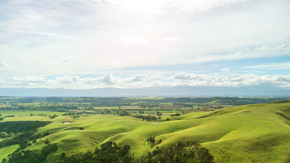 Martinborough Brewery