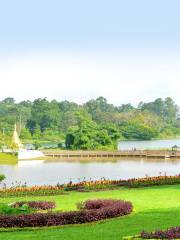 Jardín Botánico Nacional de Kandawgyi