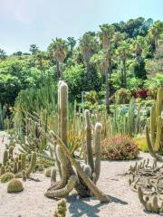 Barcelona Botanical Garden