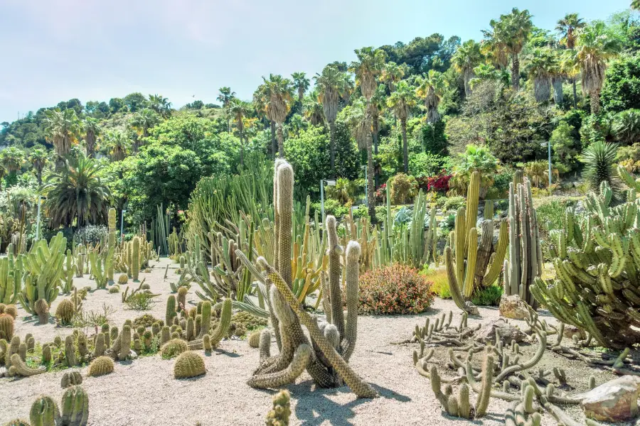 Barcelona Botanical Garden