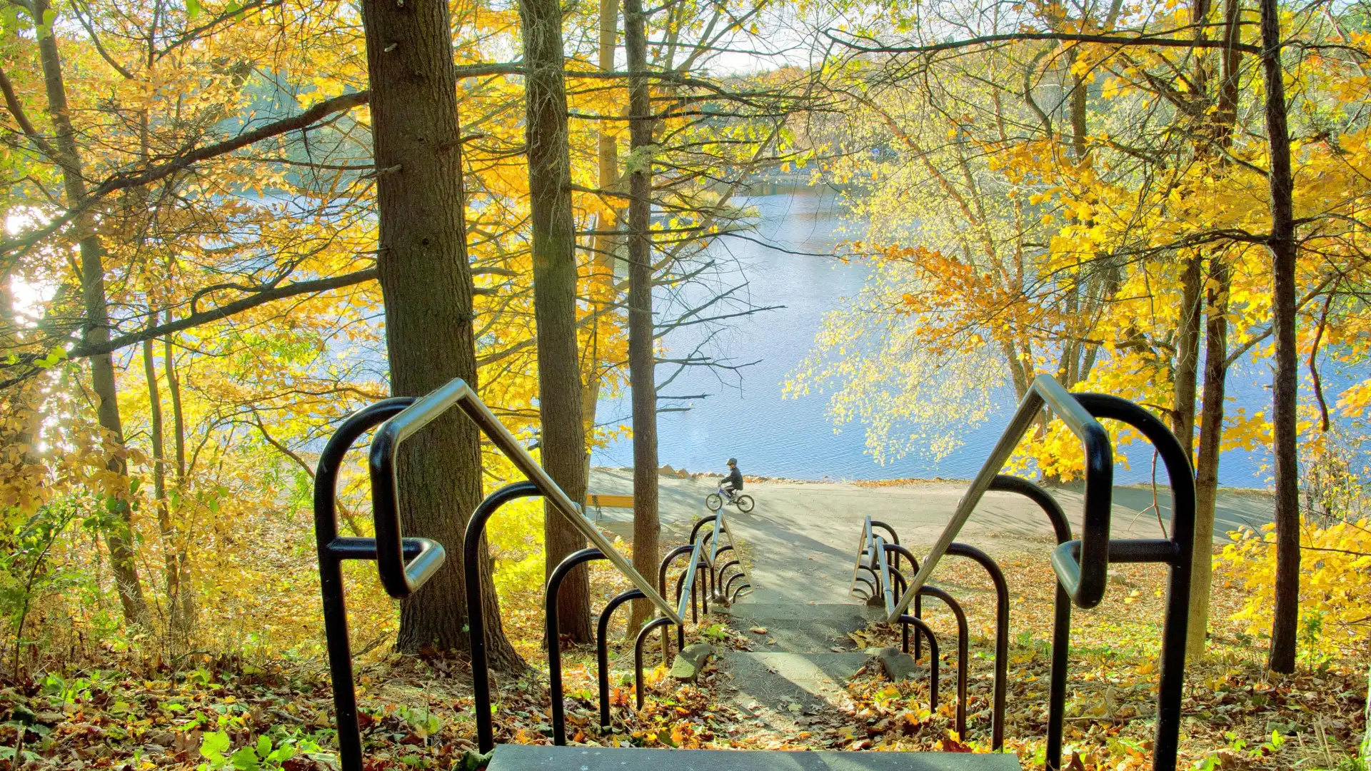 Hotels in der Nähe von Jamaica Pond