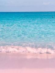 Pink Sand Beach