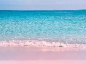หาดทรายสีชมพู