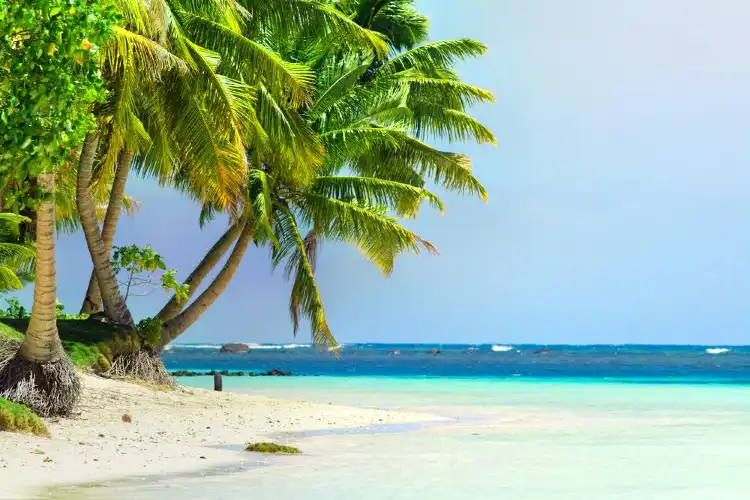 Hotels near Hakuraa
