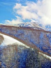 Nozawa Onsen Snow Resort