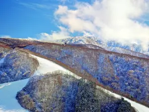 Popular Ski Resorts in Shimotakai District