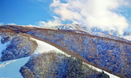 Nozawa Onsen Snow Resort