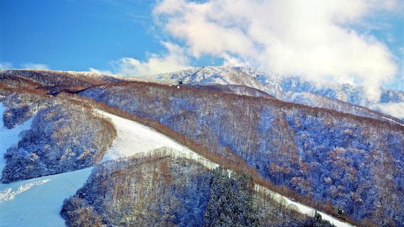 Nozawa Onsen Snow Resort