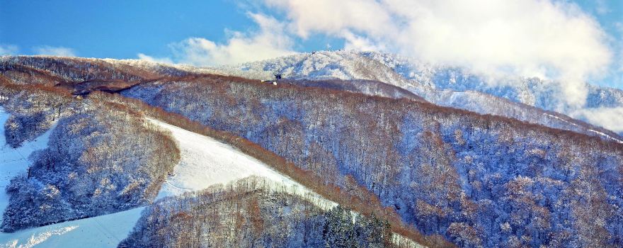 Nozawa Onsen Snow Resort