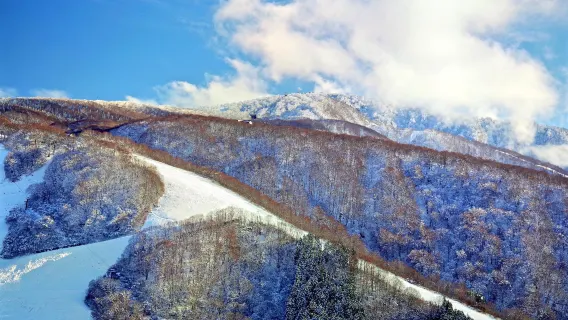 滑雪