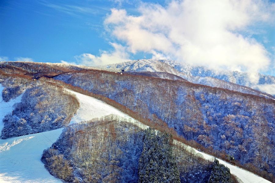 野澤温泉滑雪場