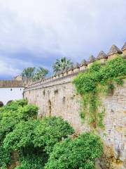 Alcazar de los Reyes Cristianos