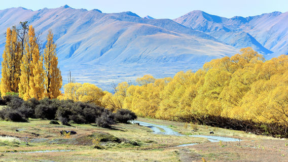 Lake Tekapo