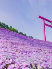 ひがしもこと芝桜公園