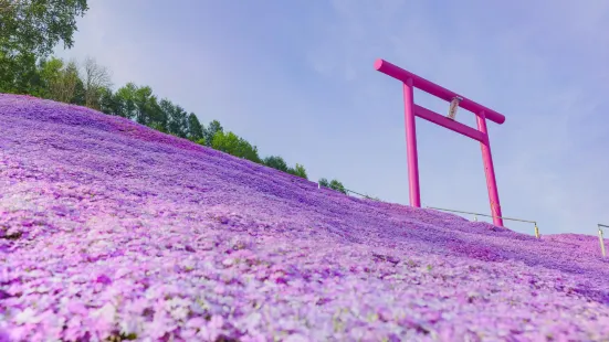 東藻琴芝櫻公園