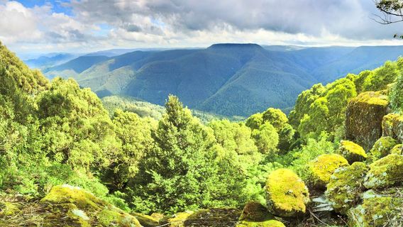 Barrington Tops National Park