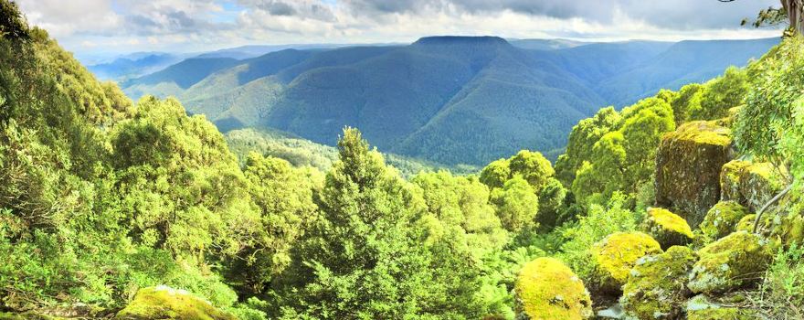 Barrington-Tops-Nationalpark