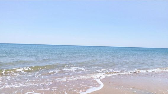 YinTai Mercury Ocean Park