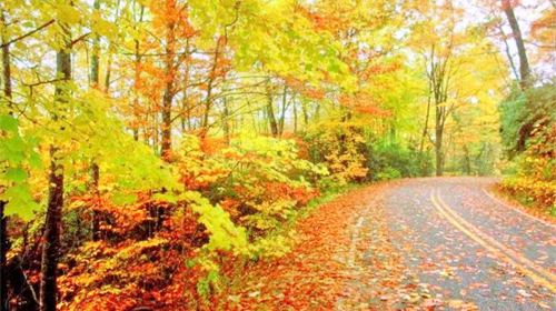 Red Maple Ridge, Western Sichuan