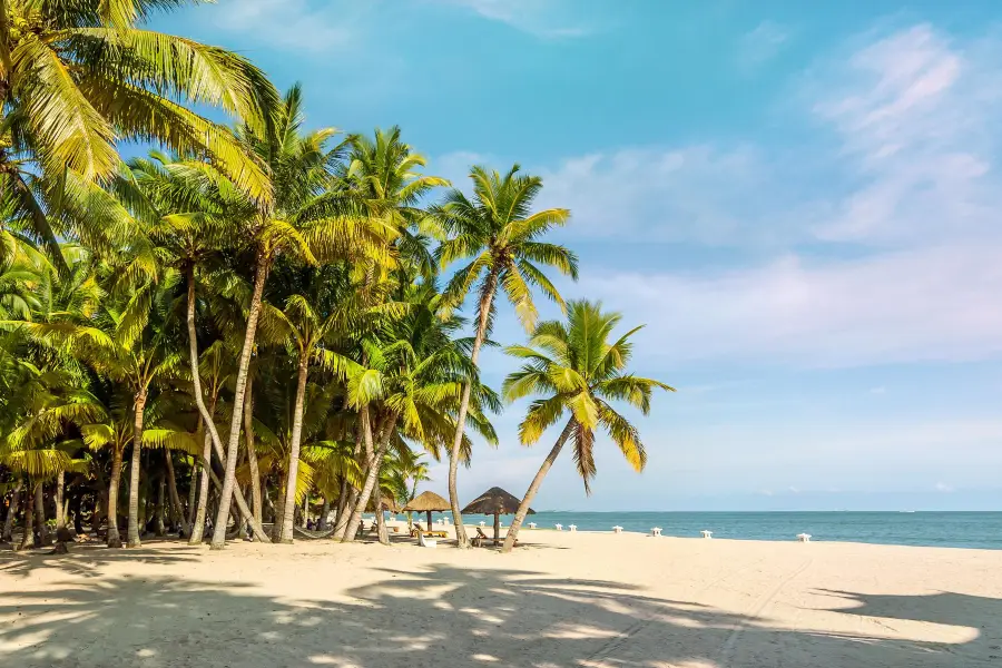 Dongjiao Coconut Plantations