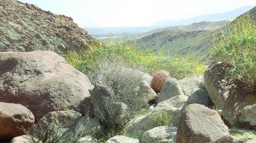 Anza-Borrego Desert State Park Visitor Center