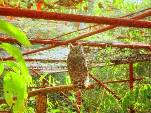 リロングウェ・ワイルドライフ・センター