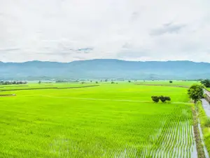 池上郷
